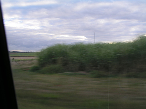 206999042_9f22504344.jpg 206999042_9f22504344.jpg