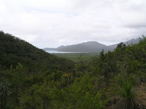 Zoe bay in the distance Zoe bay in the distance